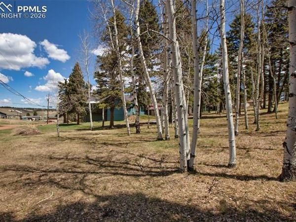 571 Will Scarlet Drive, Divide, CO 80814