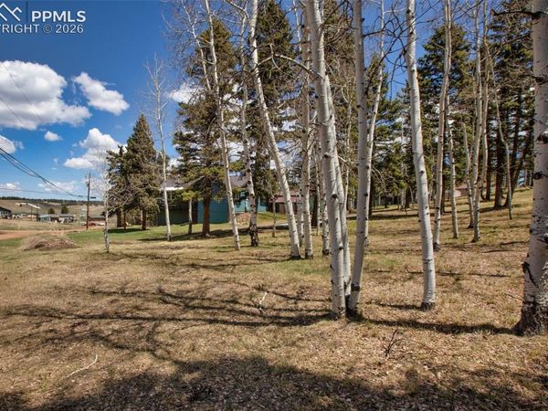 571 Will Scarlet Drive, Divide, CO 80814