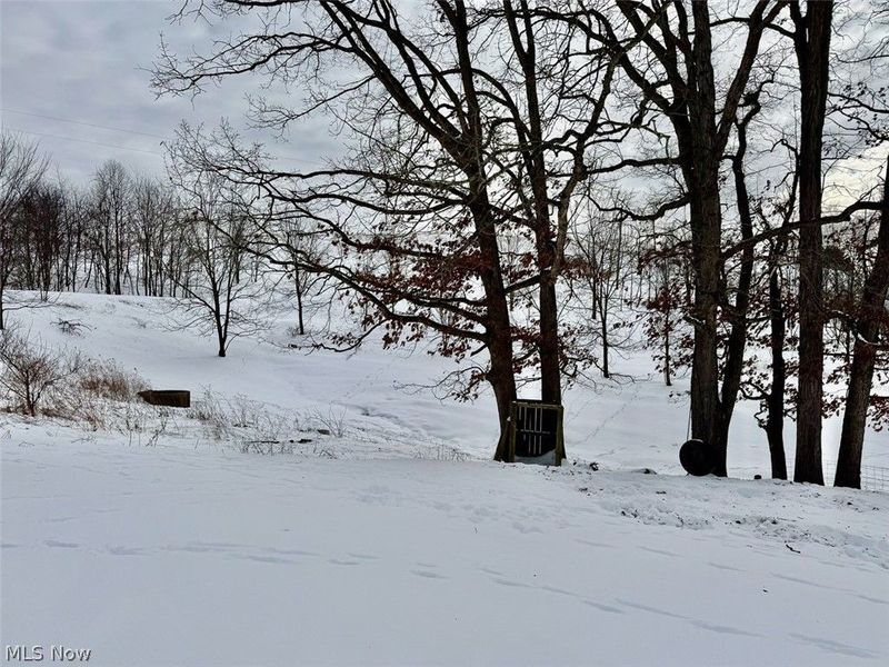 31705 Norris Road, Tippecanoe, OH 44699 Photo 47