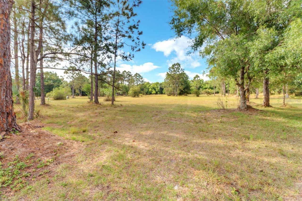 1000 Rabbit Run Road, Naples, FL 34120 Photo
