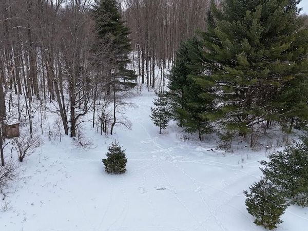 V/L 17 Mile Rd, Leroy, MI 49655