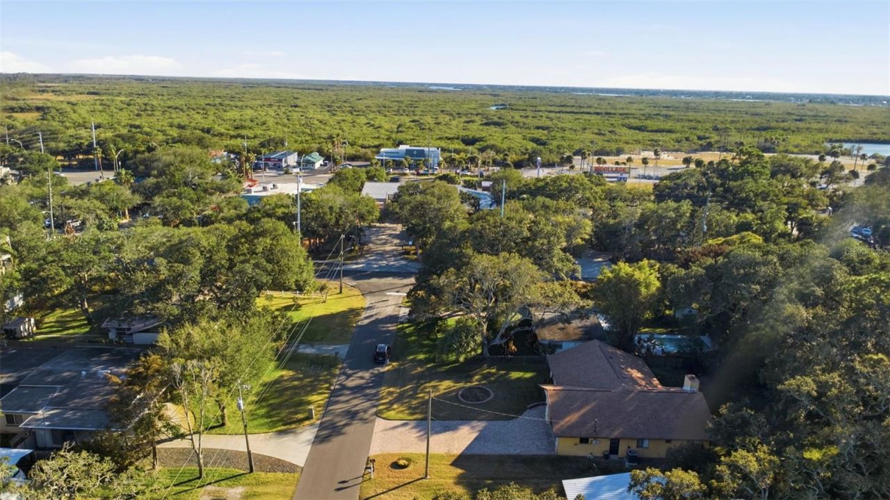 646 Yupon Avenue, New Smyrna Beach, FL 32169 Photo