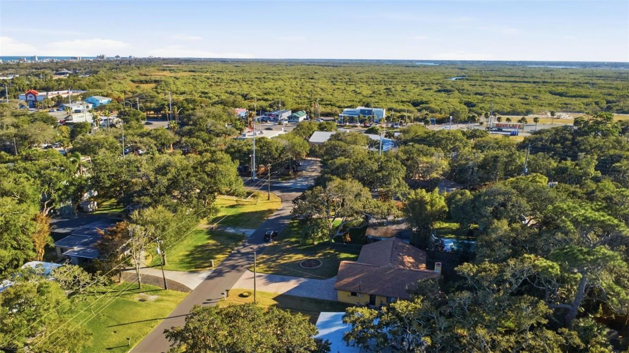 646 Yupon Avenue, New Smyrna Beach, FL 32169 Photo