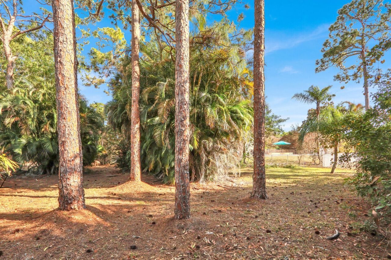 17151 30th Lane N, Loxahatchee, FL 33470 Photo