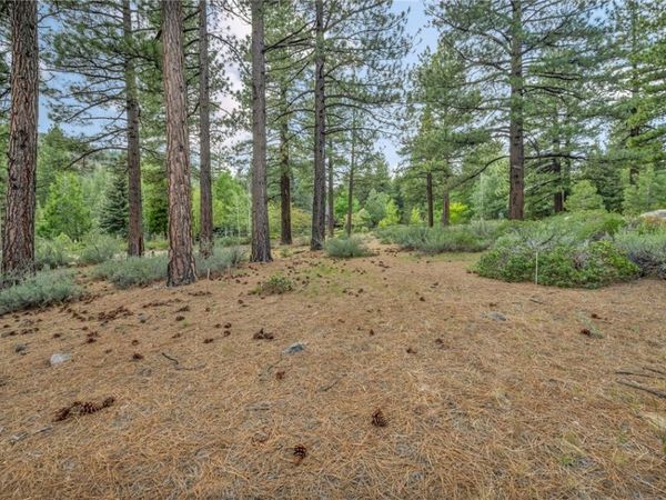 307 E Jeffrey Pine Rd, Reno, NV 89511