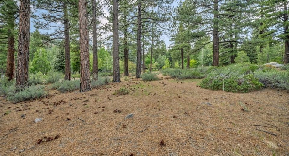 307 E Jeffrey Pine Rd, Reno, NV 89511 Photo