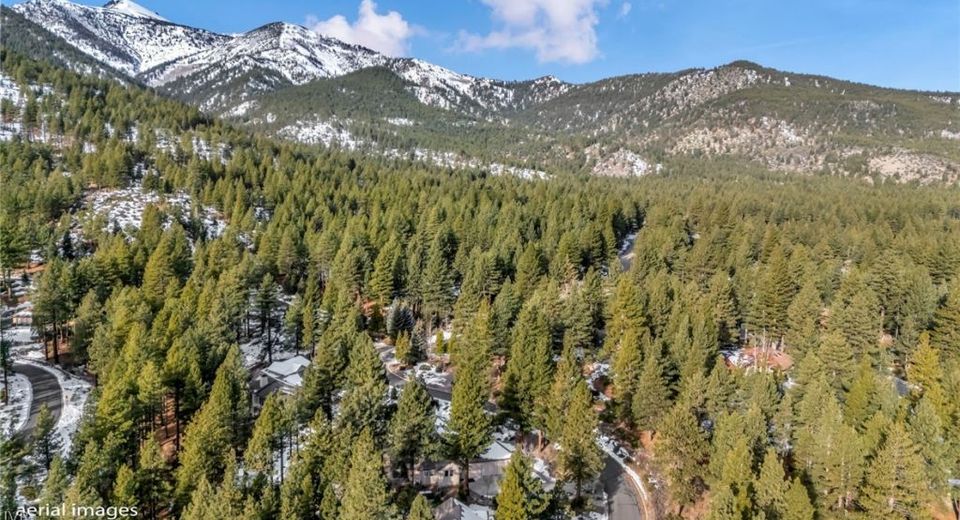 307 E Jeffrey Pine Rd, Reno, NV 89511 Photo