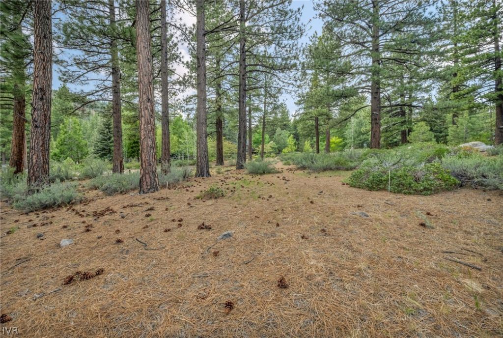 307 E Jeffrey Pine Rd, Reno, NV 89511 Photo