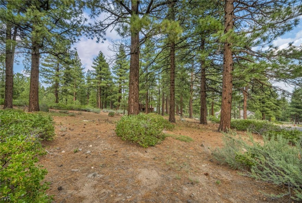 307 E Jeffrey Pine Rd, Reno, NV 89511 Photo