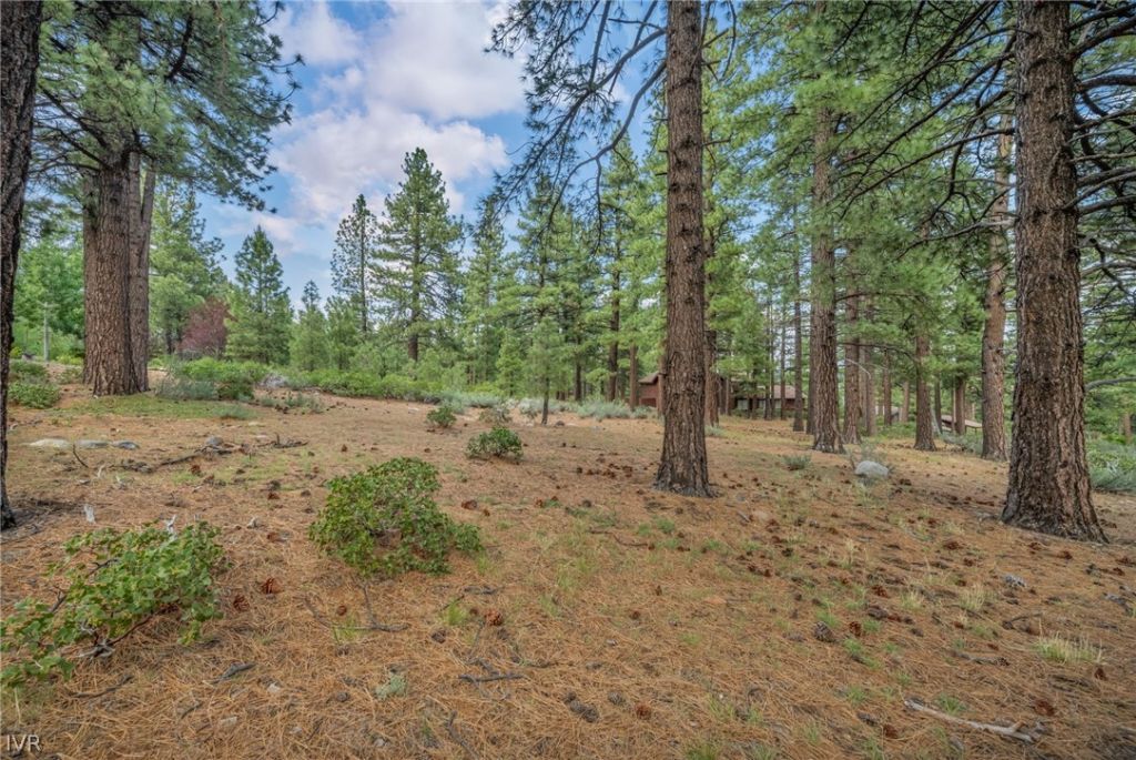 307 E Jeffrey Pine Rd, Reno, NV 89511 Photo