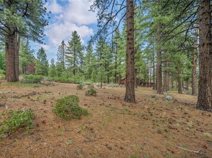 307 E Jeffrey Pine Rd, Reno, NV 89511 Photo