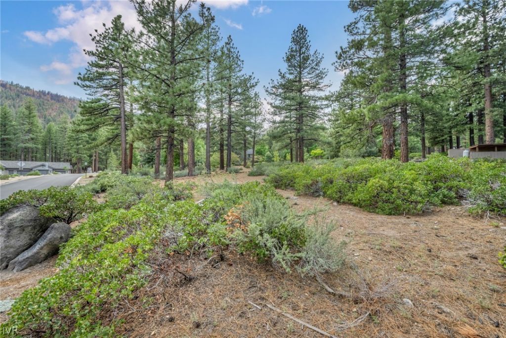 307 E Jeffrey Pine Rd, Reno, NV 89511 Photo