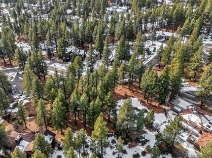 307 E Jeffrey Pine Rd, Reno, NV 89511 Photo