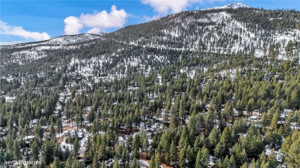 307 E Jeffrey Pine Rd, Reno, NV 89511 Photo