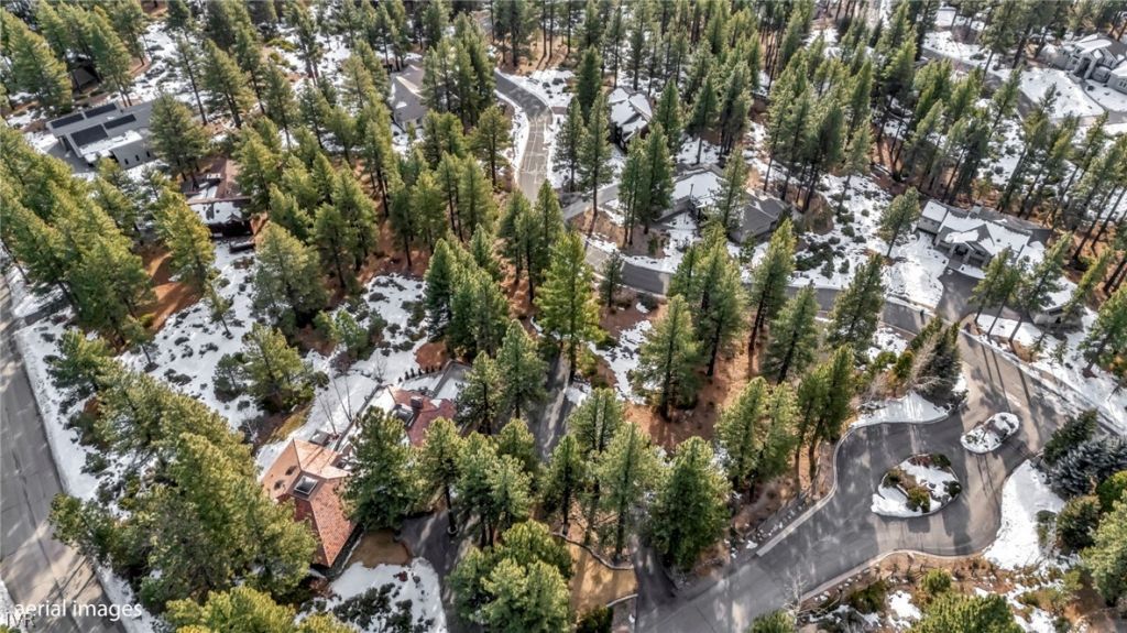 307 E Jeffrey Pine Rd, Reno, NV 89511 Photo