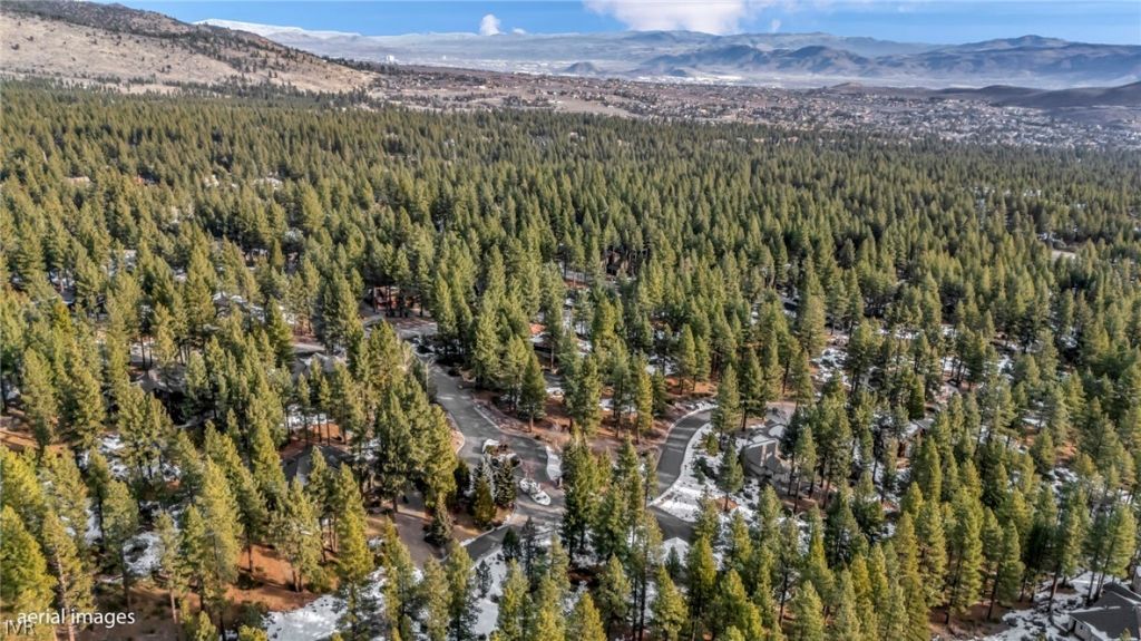 307 E Jeffrey Pine Rd, Reno, NV 89511 Photo