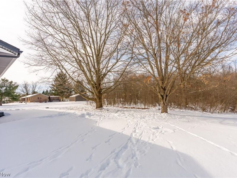 6116 Boneta Road, Medina, OH 44256 Photo 35