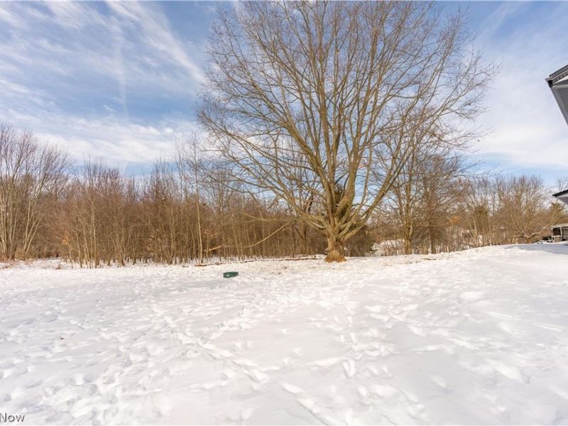 6116 Boneta Road, Medina, OH 44256 Photo 38