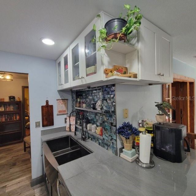 28800 Walker Drive, Wesley Chapel, FL 33544 Photo