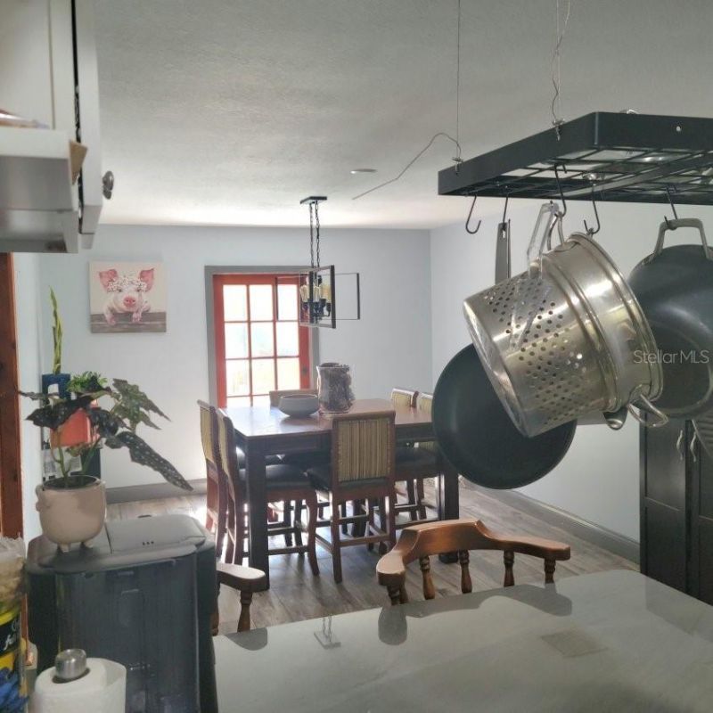 28800 Walker Drive, Wesley Chapel, FL 33544 Photo