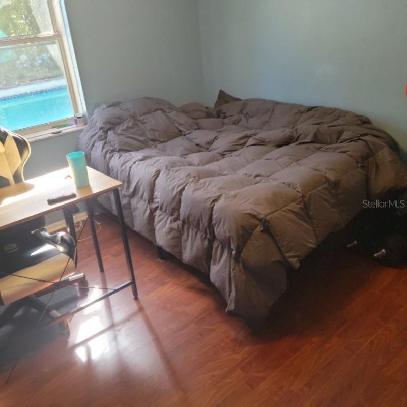 28800 Walker Drive, Wesley Chapel, FL 33544 Photo