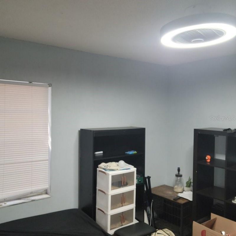 28800 Walker Drive, Wesley Chapel, FL 33544 Photo