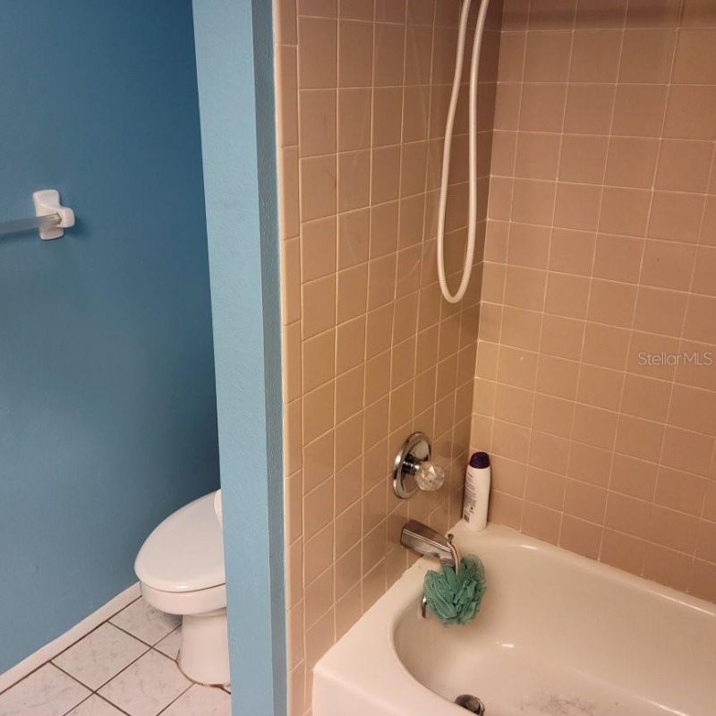 28800 Walker Drive, Wesley Chapel, FL 33544 Photo