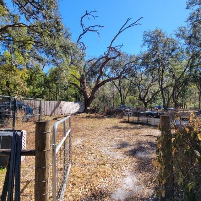 28800 Walker Drive, Wesley Chapel, FL 33544 Photo