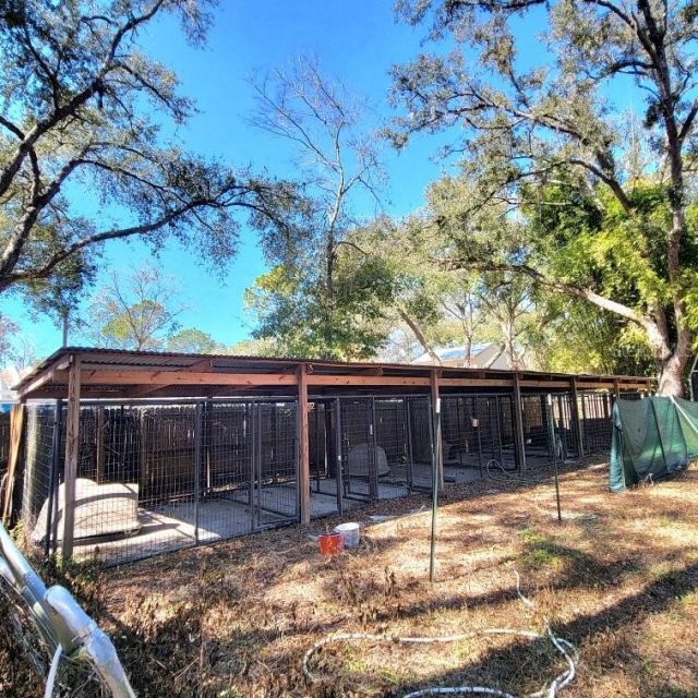 28800 Walker Drive, Wesley Chapel, FL 33544 Photo