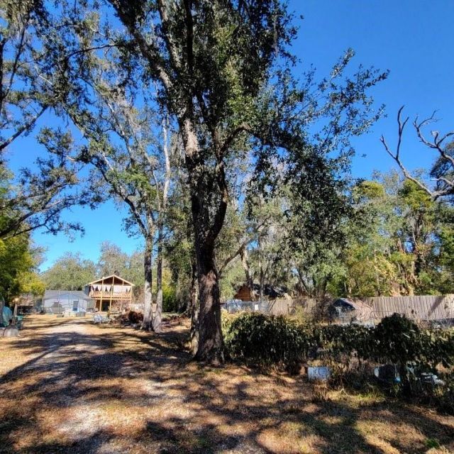 28800 Walker Drive, Wesley Chapel, FL 33544 Photo