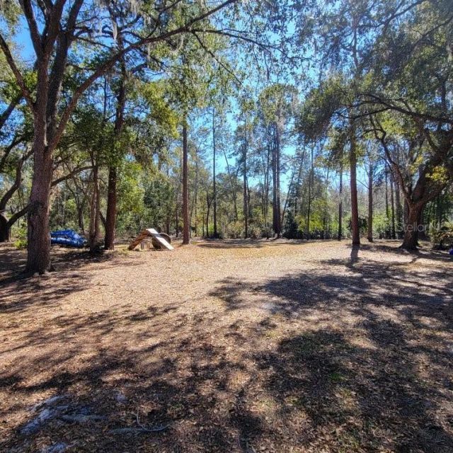 28800 Walker Drive, Wesley Chapel, FL 33544 Photo