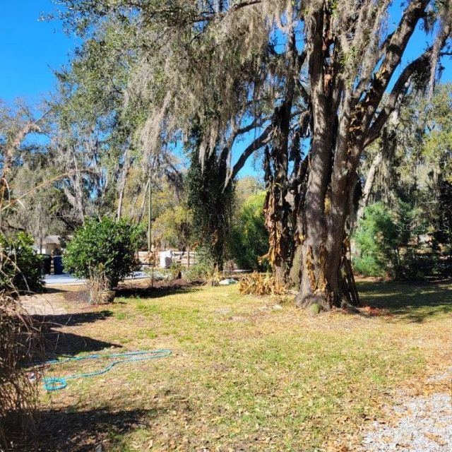 28800 Walker Drive, Wesley Chapel, FL 33544 Photo