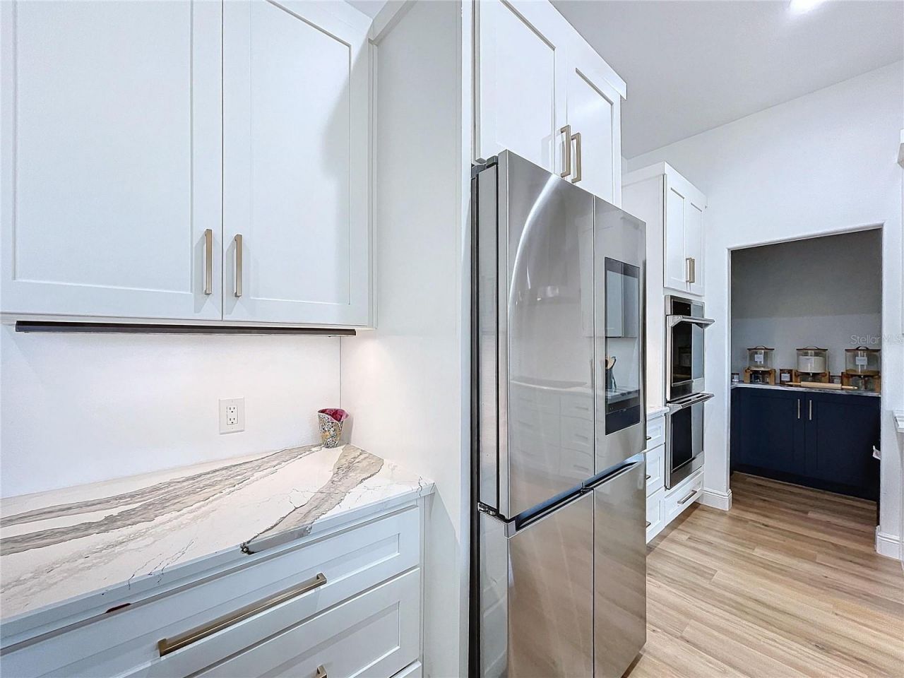 26848 Shoregrass Drive, Wesley Chapel, FL 33544 Photo