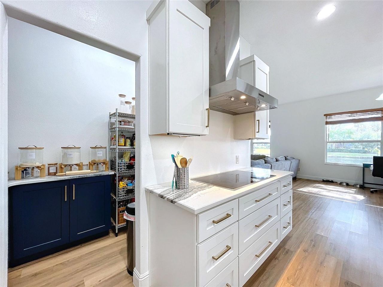 26848 Shoregrass Drive, Wesley Chapel, FL 33544 Photo