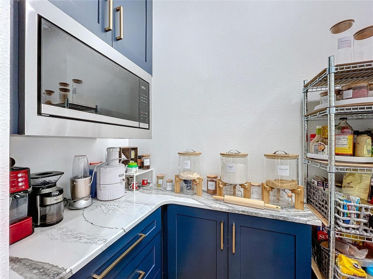 26848 Shoregrass Drive, Wesley Chapel, FL 33544 Photo