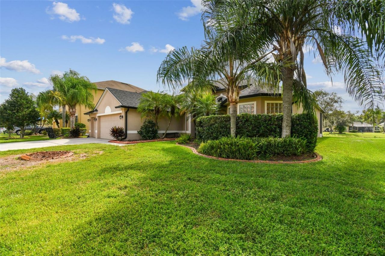 26848 Shoregrass Drive, Wesley Chapel, FL 33544 Photo
