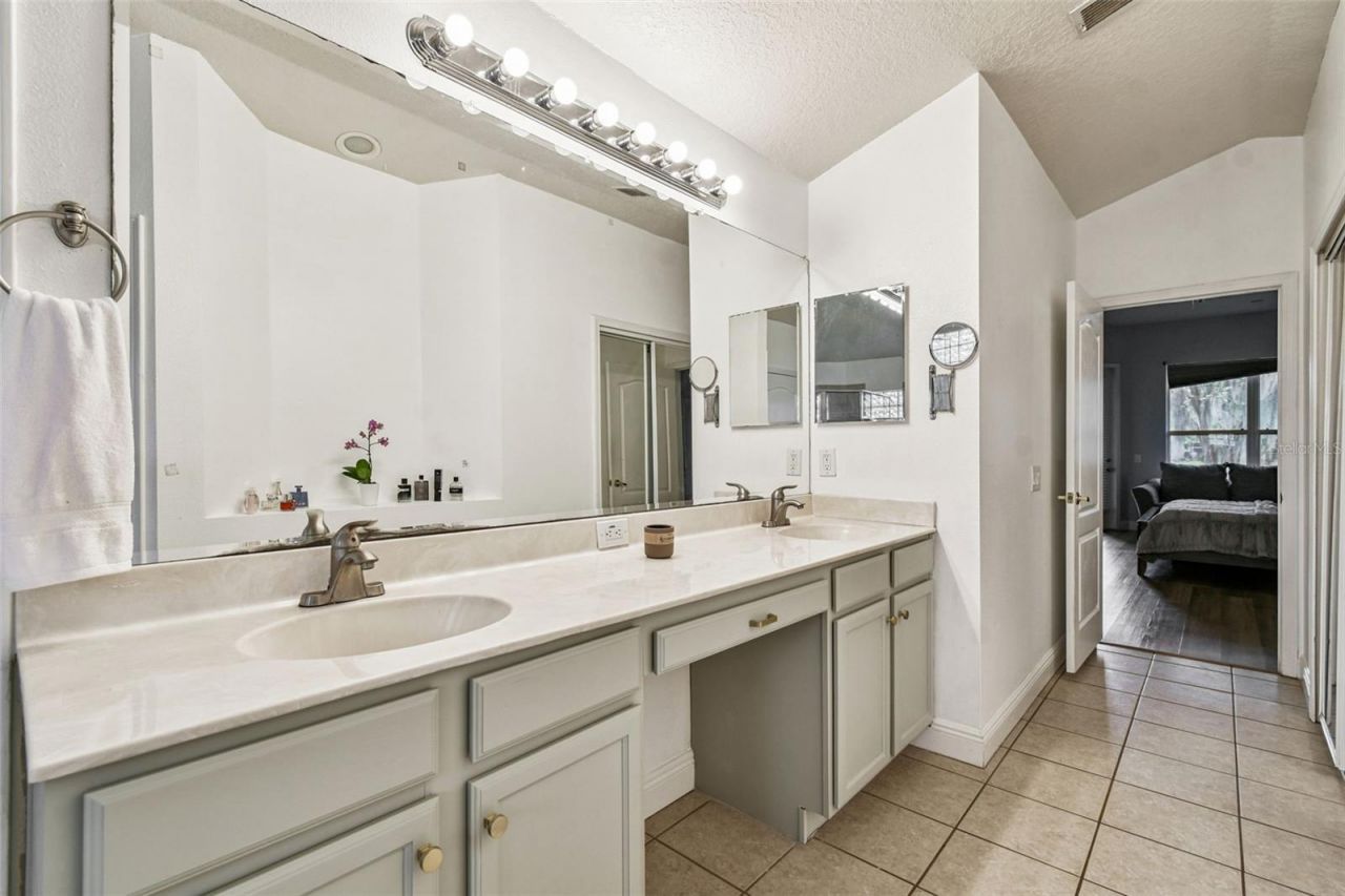 26848 Shoregrass Drive, Wesley Chapel, FL 33544 Photo