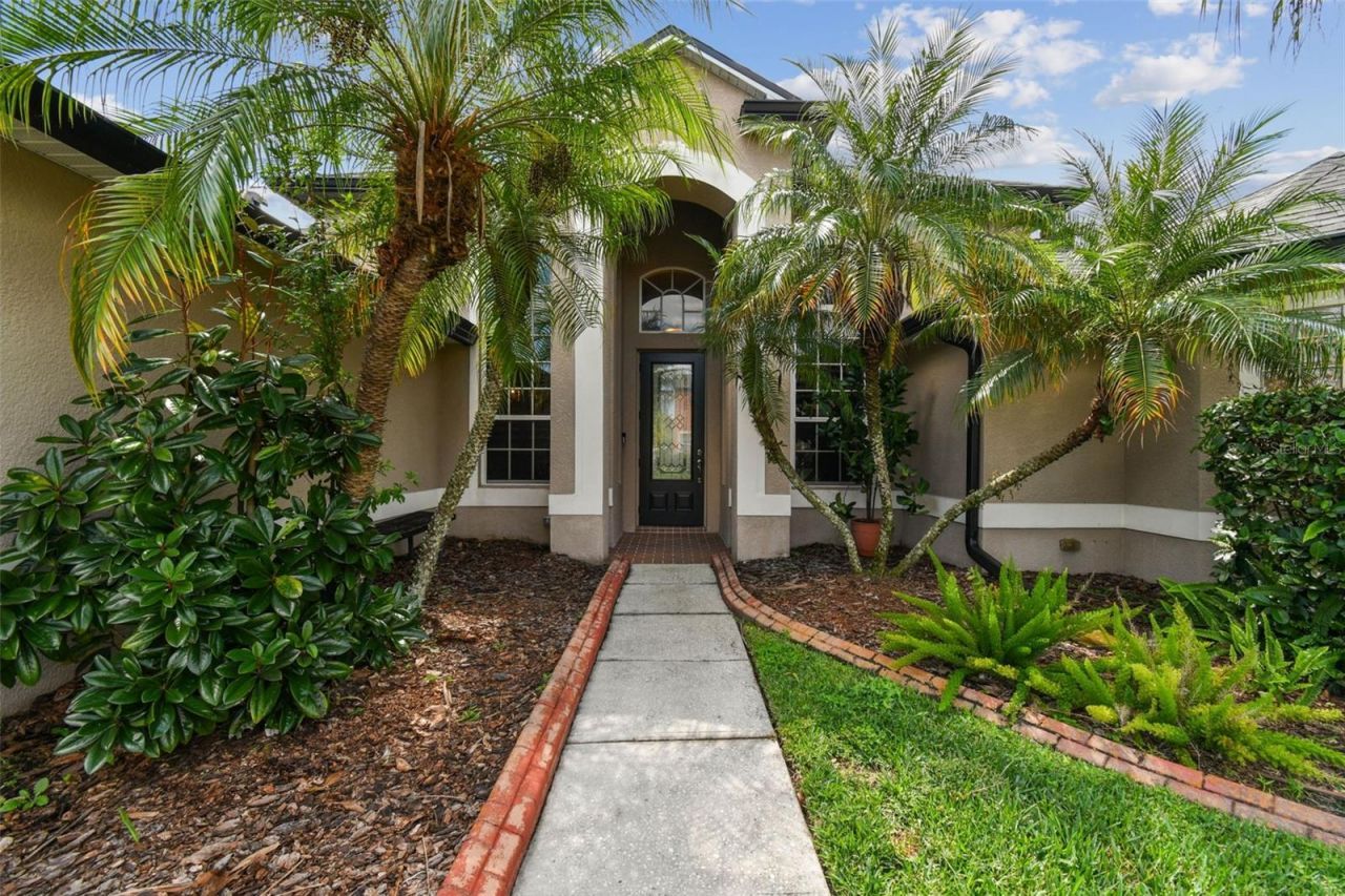 26848 Shoregrass Drive, Wesley Chapel, FL 33544 Photo