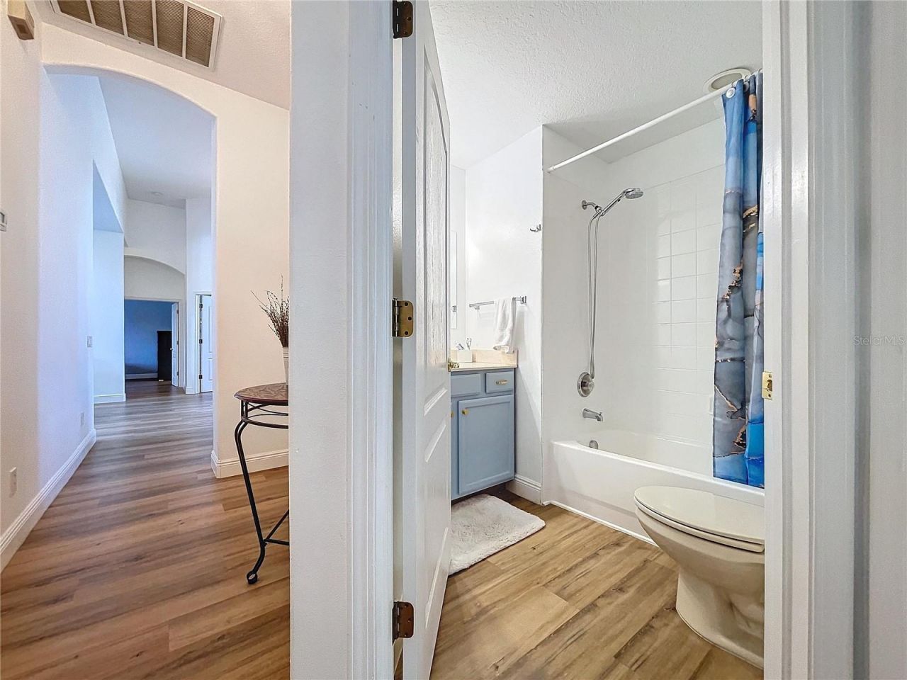 26848 Shoregrass Drive, Wesley Chapel, FL 33544 Photo