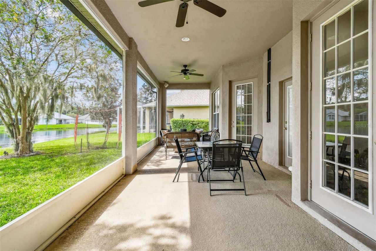 26848 Shoregrass Drive, Wesley Chapel, FL 33544 Photo