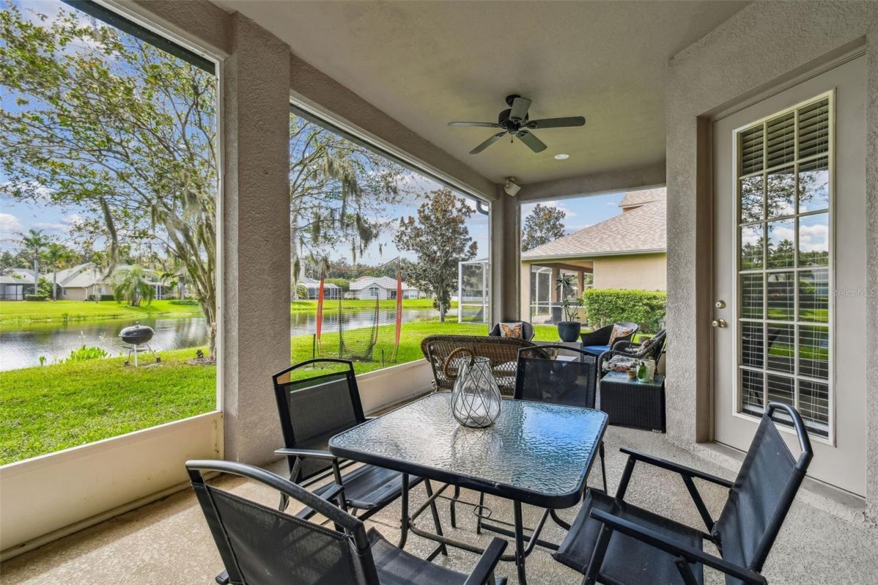 26848 Shoregrass Drive, Wesley Chapel, FL 33544 Photo