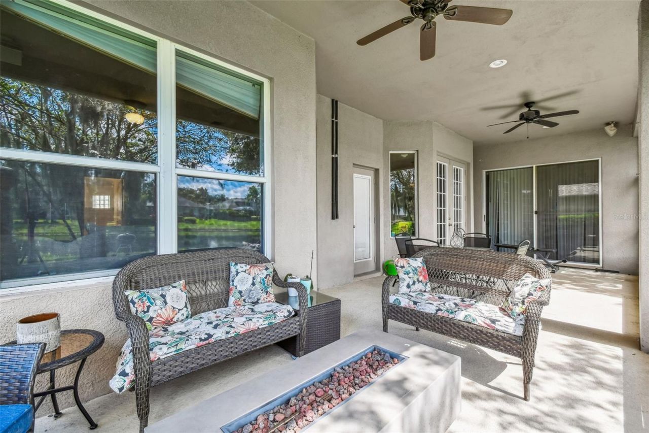 26848 Shoregrass Drive, Wesley Chapel, FL 33544 Photo