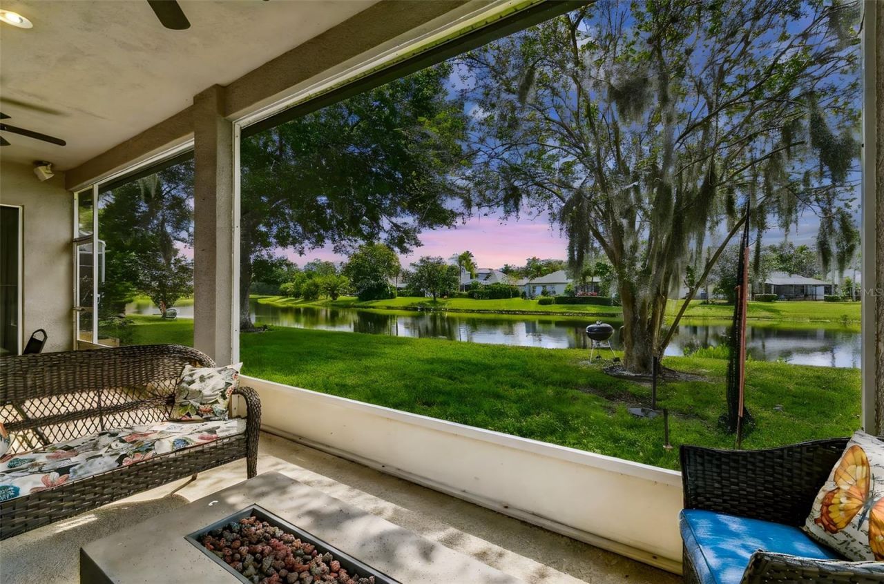 26848 Shoregrass Drive, Wesley Chapel, FL 33544 Photo