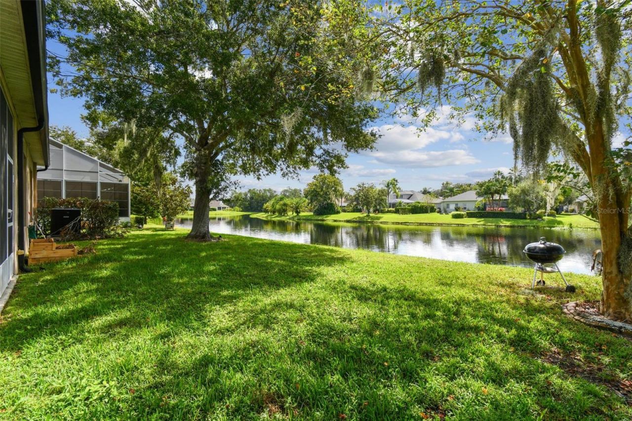 26848 Shoregrass Drive, Wesley Chapel, FL 33544 Photo