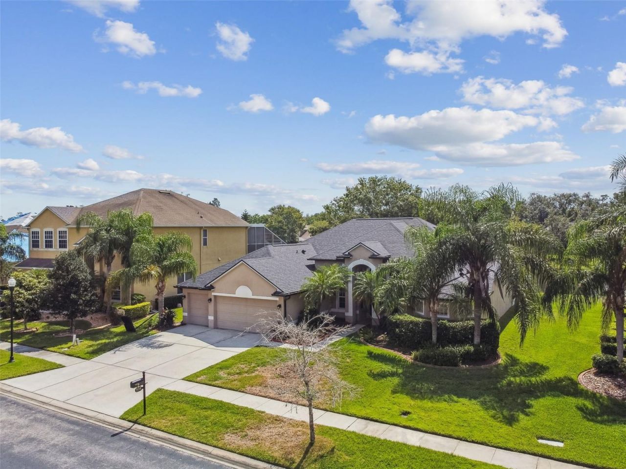 26848 Shoregrass Drive, Wesley Chapel, FL 33544 Photo