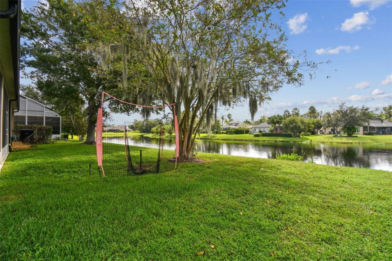 26848 Shoregrass Drive, Wesley Chapel, FL 33544 Photo