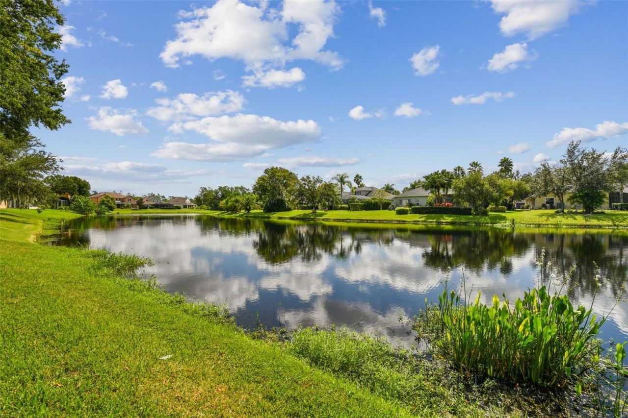 26848 Shoregrass Drive, Wesley Chapel, FL 33544 Photo