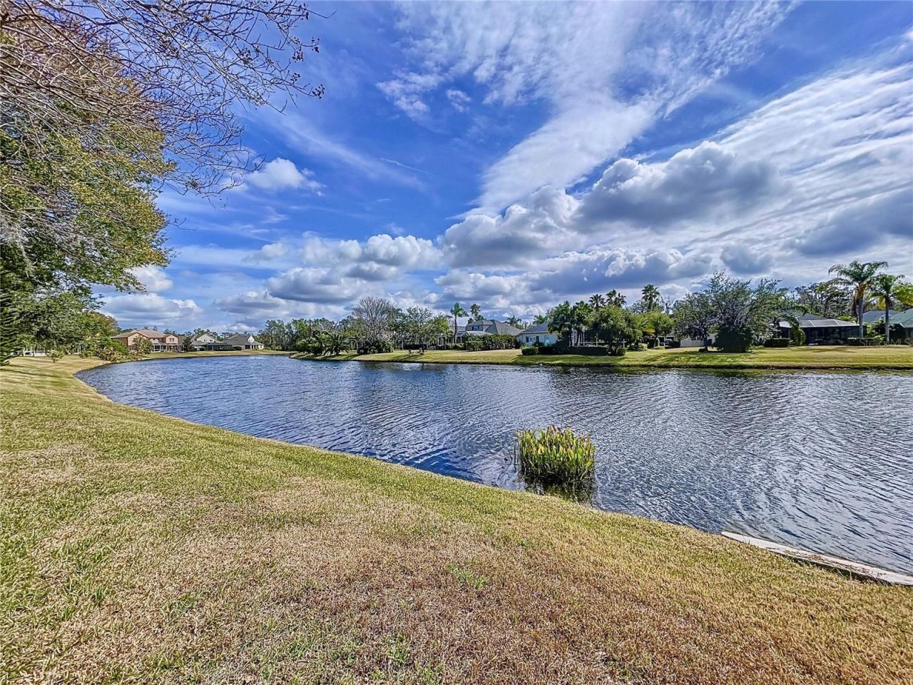26848 Shoregrass Drive, Wesley Chapel, FL 33544 Photo