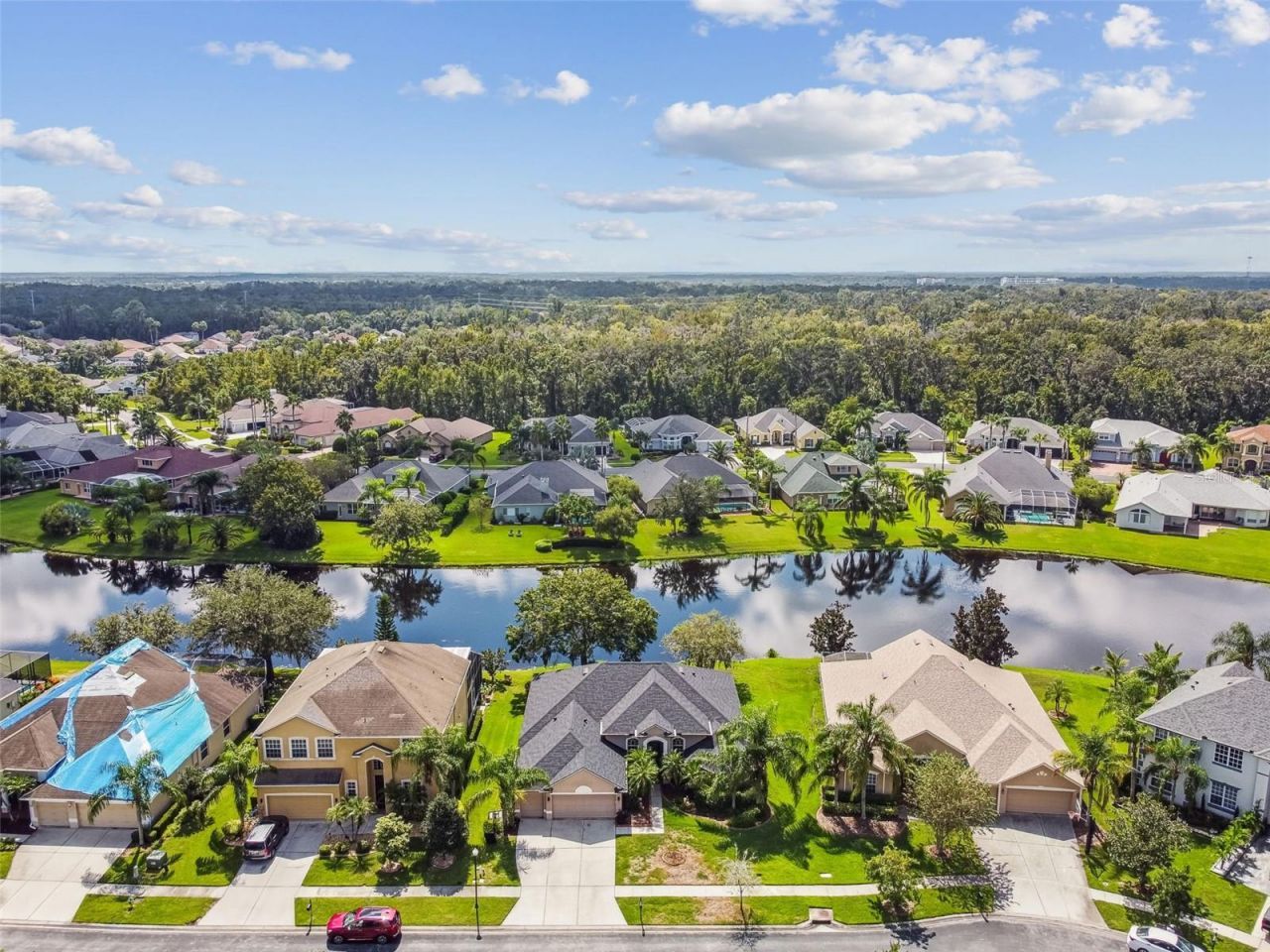 26848 Shoregrass Drive, Wesley Chapel, FL 33544 Photo