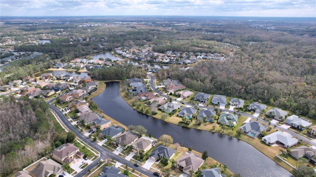 26848 Shoregrass Drive, Wesley Chapel, FL 33544 Photo